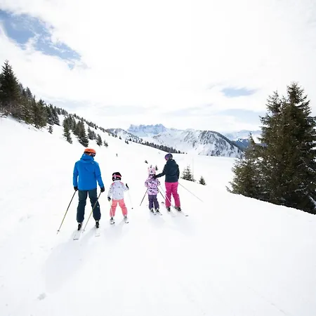 Daire L'ecrin De In Den Portes Du Soleil By Interhome Torgon