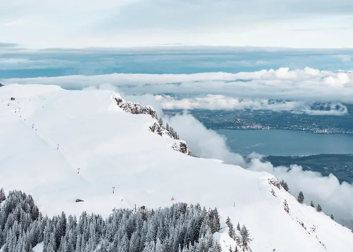 L'ecrin De In Den Portes Du Soleil By Interhome