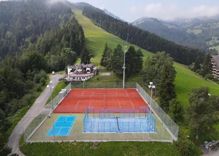 L'ecrin De In Den Portes Du Soleil By Interhome Appartamento Torgon